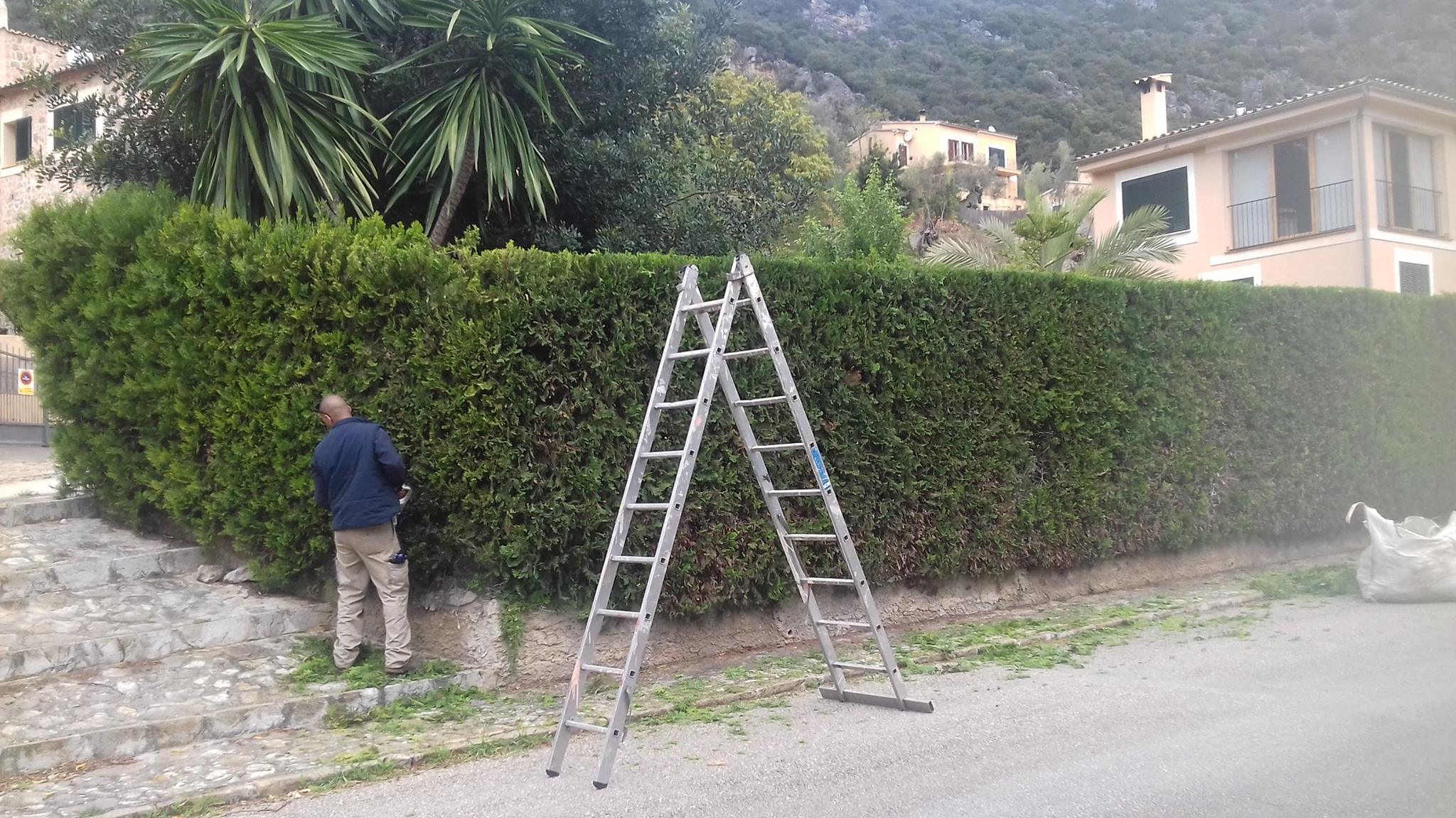 Trabajos realizados